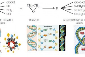醫療產品環氧乙烷(EO)滅菌原理、應用、檢測及控制事項